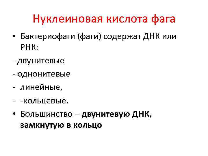Нуклеиновая кислота фага • Бактериофаги (фаги) содержат ДНК или РНК: - двунитевые - однонитевые