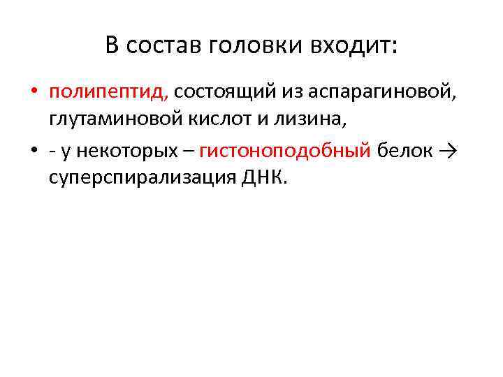 В состав головки входит: • полипептид, состоящий из аспарагиновой, глутаминовой кислот и лизина, •