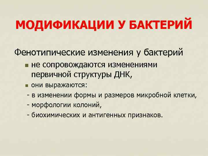 МОДИФИКАЦИИ У БАКТЕРИЙ Фенотипические изменения у бактерий n не сопровождаются изменениями первичной структуры ДНК,