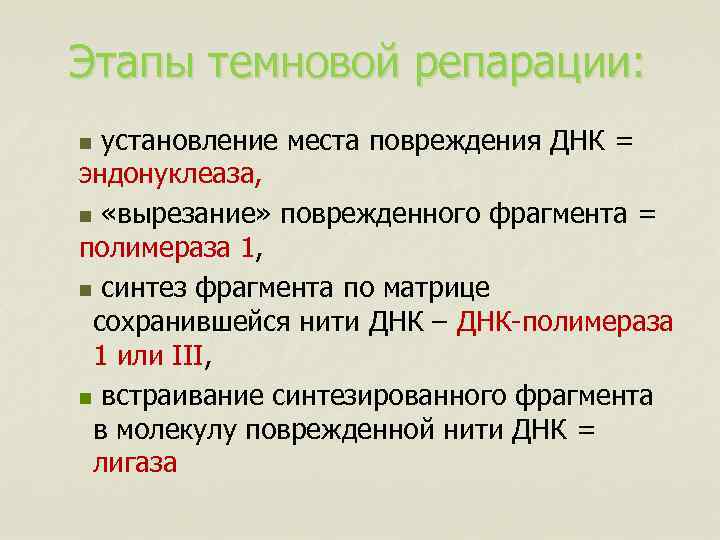 Этапы темновой репарации: n установление места повреждения ДНК = эндонуклеаза, n «вырезание» поврежденного фрагмента