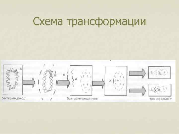 Схема трансформации 