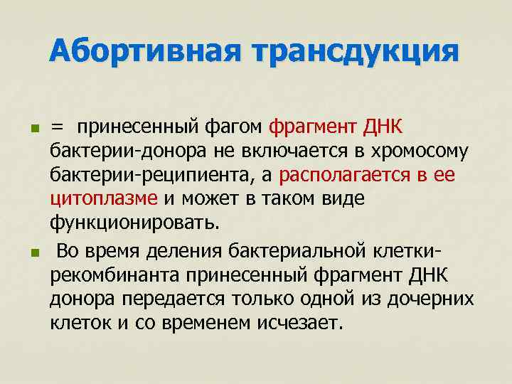 Абортивная трансдукция n n = принесенный фагом фрагмент ДНК бактерии-донора не включается в хромосому