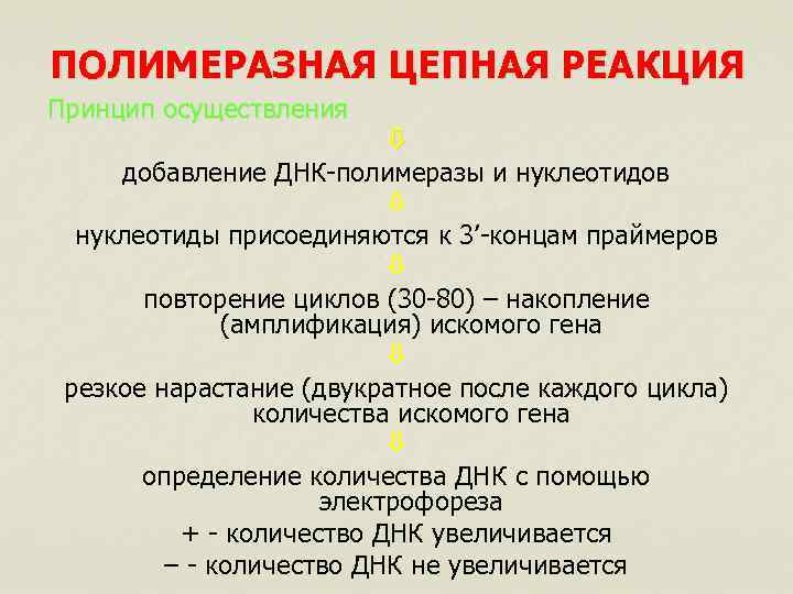 ПОЛИМЕРАЗНАЯ ЦЕПНАЯ РЕАКЦИЯ Принцип осуществления добавление ДНК-полимеразы и нуклеотидов нуклеотиды присоединяются к 3’-концам праймеров