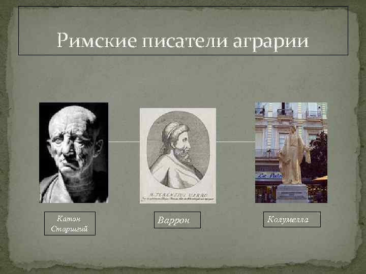 Римские писатели аграрии Катон Старшгий Варрон Колумелла 