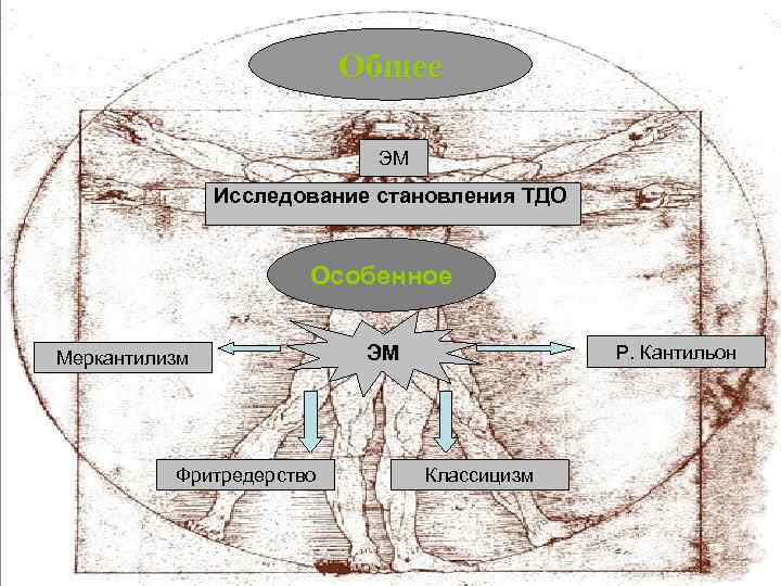 Общее ЭМ Исследование становления ТДО Особенное Меркантилизм Фритредерство ЭМ Р. Кантильон Классицизм 