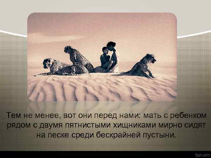 Тем не менее, вот они перед нами: мать с ребенком рядом с двумя пятнистыми