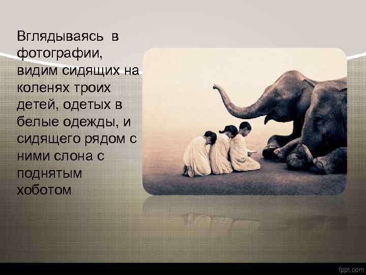 Вглядываясь в фотографии, видим сидящих на коленях троих детей, одетых в белые одежды, и