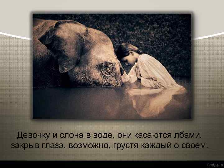 Девочку и слона в воде, они касаются лбами, закрыв глаза, возможно, грустя каждый о