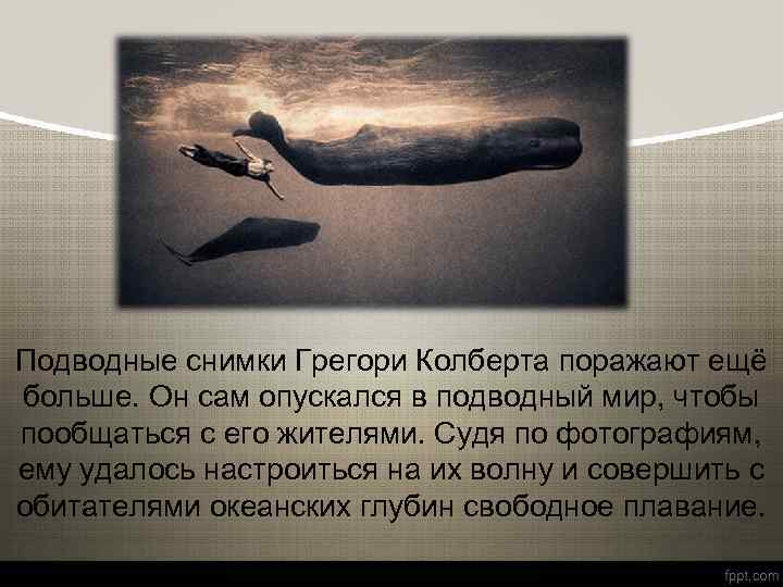 Подводные снимки Грегори Колберта поражают ещё больше. Он сам опускался в подводный мир, чтобы