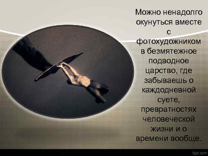 Можно ненадолго окунуться вместе с фотохудожником в безмятежное подводное царство, где забываешь о каждодневной