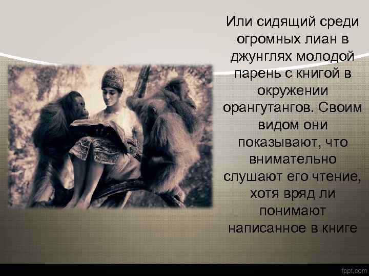 Или сидящий среди огромных лиан в джунглях молодой парень с книгой в окружении орангутангов.