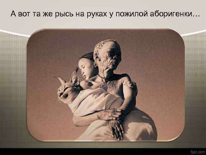 А вот та же рысь на руках у пожилой аборигенки… 