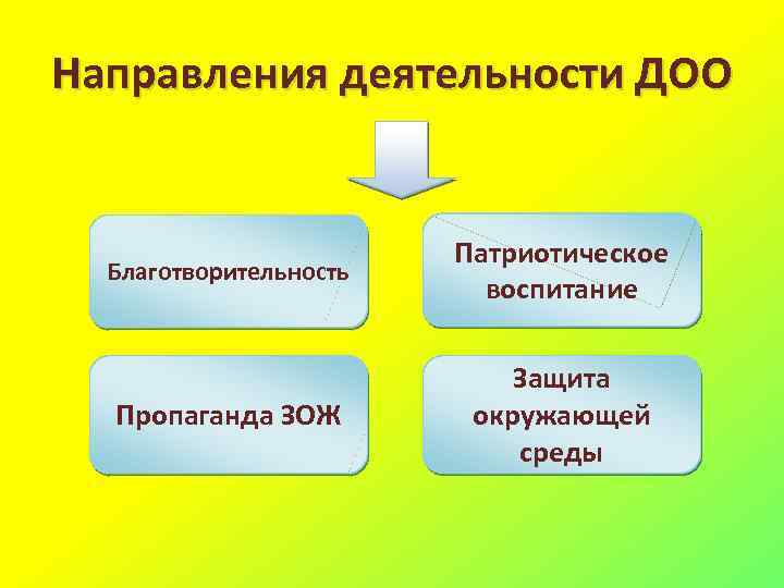 Направления деятельности ДОО Благотворительность Патриотическое воспитание Пропаганда ЗОЖ Защита окружающей среды 