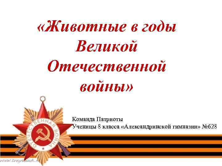  «Животные в годы Великой Отечественной войны» Команда Патриоты Ученицы 8 класса «Александринской гимназии»