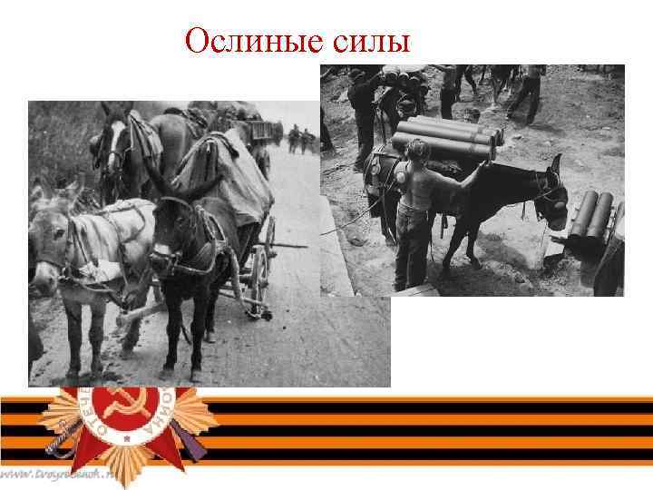 Ослиные силы 