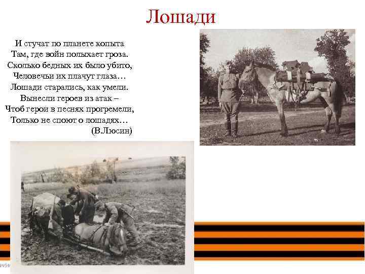 Лошади и И стучат по планете копыта Там, где войн полыхает гроза. Сколько бедных