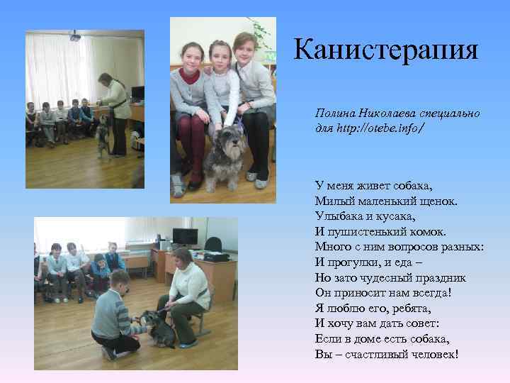Канистерапия Полина Николаева специально для http: //otebe. info/ У меня живет собака, Милый маленький
