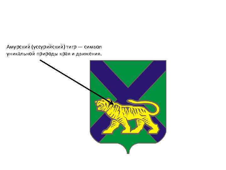 Амурский (уссурийский) тигр — символ уникальной природы края и движения. 
