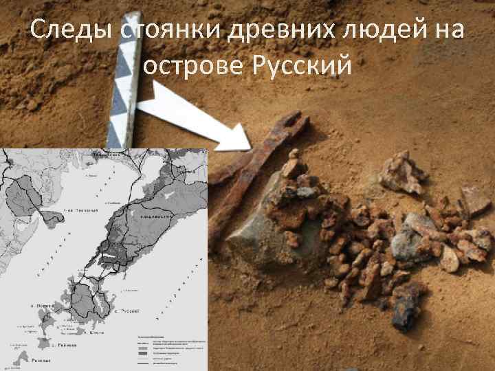 Следы стоянки древних людей на острове Русский 