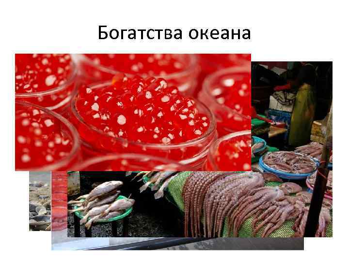 Богатства океана 