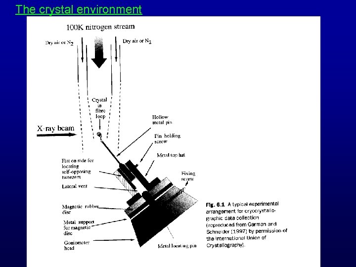 The crystal environment 