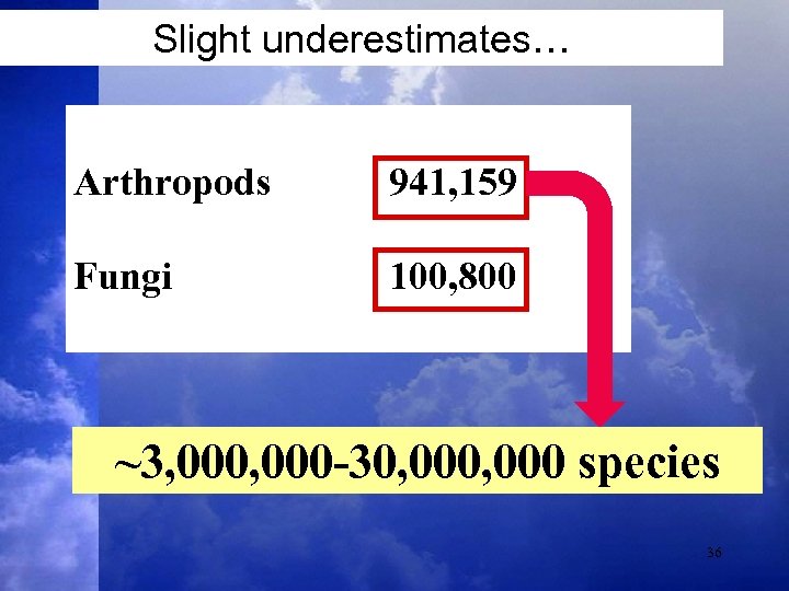 Slight underestimates… Arthropods 941, 159 Fungi 100, 800 ~3, 000 -30, 000 species 36