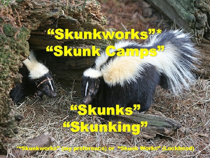 “Skunkworks”* “Skunk Camps” “Skunking” *“Skunkworks” (my preference) or “Skunk Works” (Lockheed) 