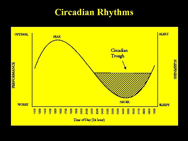 Circadian Rhythms OPTIMAL ALERT PEAK Circadian Trough PERFORMANCE SLEEPINESS NADIR WORST Time of Day