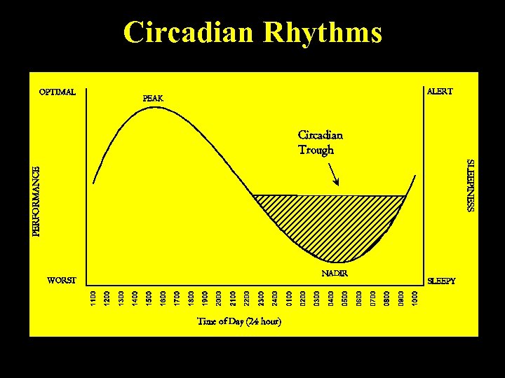 Circadian Rhythms OPTIMAL ALERT PEAK Circadian Trough PERFORMANCE SLEEPINESS NADIR WORST Time of Day