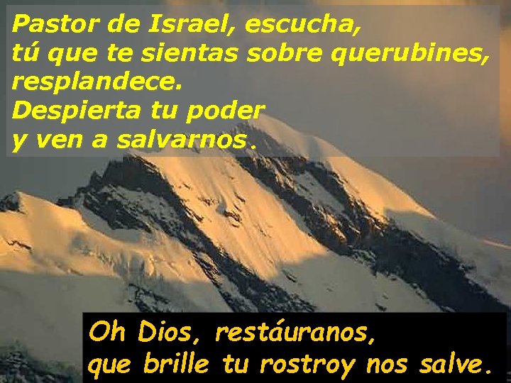 Pastor de Israel, escucha, tú que te sientas sobre querubines, resplandece. Despierta tu poder