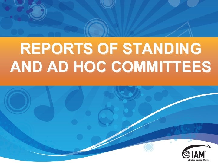 REPORTS OF STANDING AND AD HOC COMMITTEES 