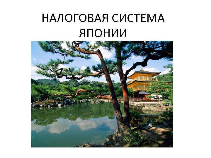 НАЛОГОВАЯ СИСТЕМА ЯПОНИИ 