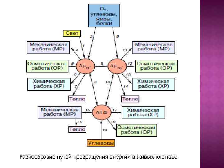 Схема преобразования энергии