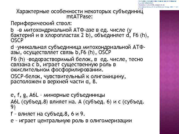 Характерные особенности некоторых субъединиц mt. ATPase: Периферический ствол: b -в митохондриальной АТФ-азе в ед.