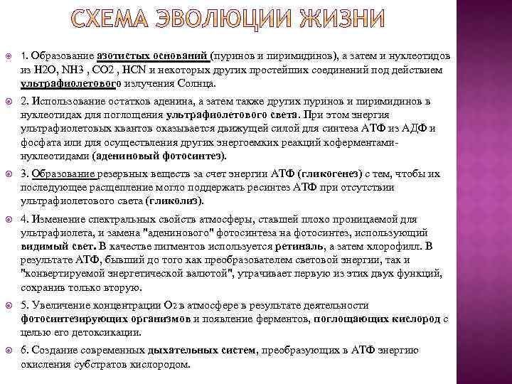  1. Образование азотистых оснований (пуринов и пиримидинов), а затем и нуклеотидов из Н