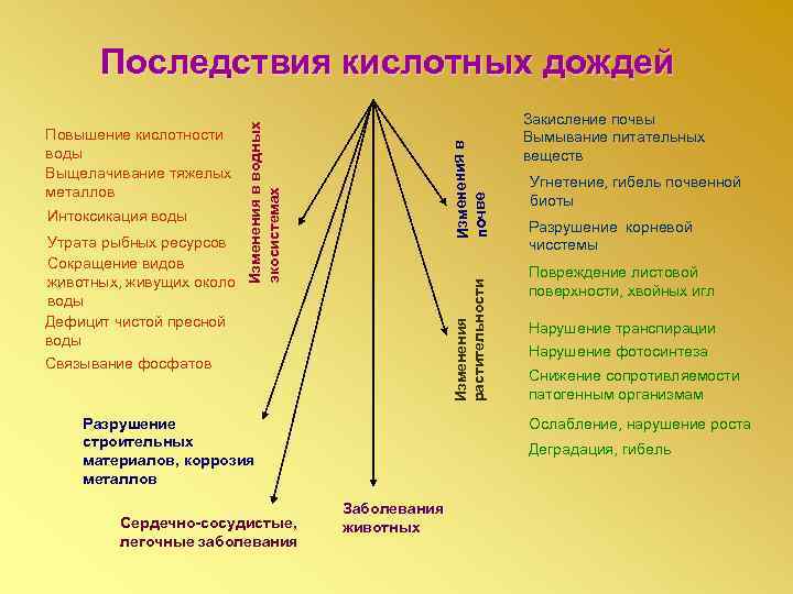 Утрата рыбных ресурсов Сокращение видов животных, живущих около воды Дефицит чистой пресной воды Изменения