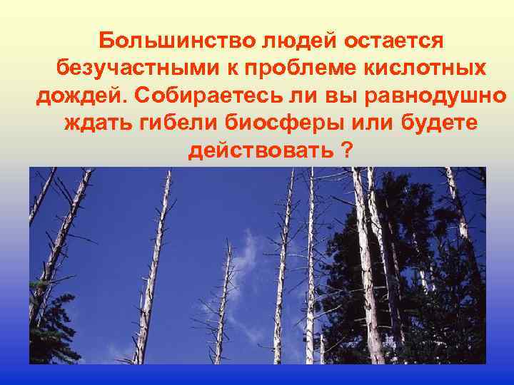 Большинство людей остается безучастными к проблеме кислотных дождей. Собираетесь ли вы равнодушно ждать гибели