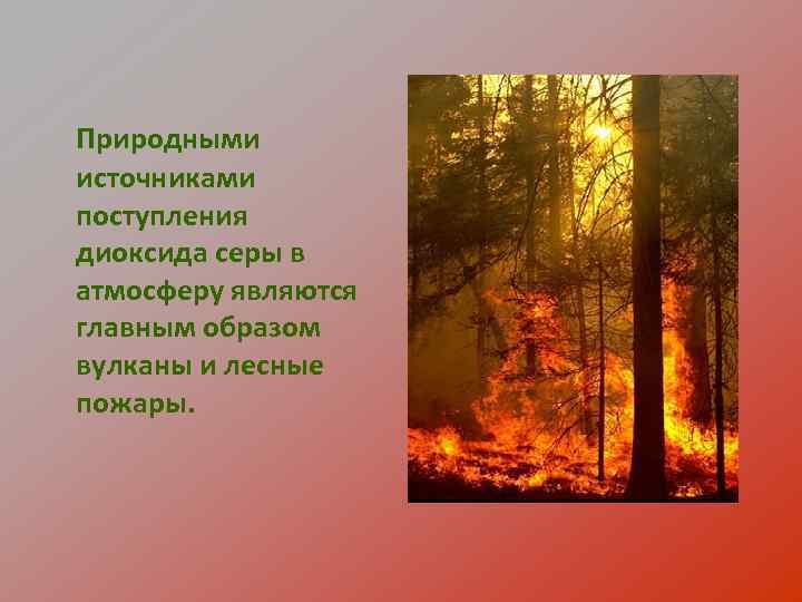 Природными источниками поступления диоксида серы в атмосферу являются главным образом вулканы и лесные пожары.