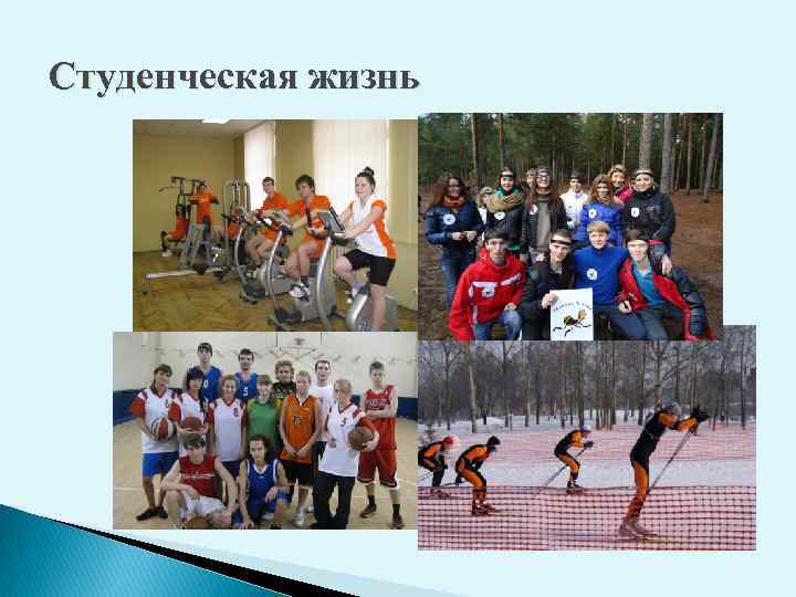 Студенческая жизнь 