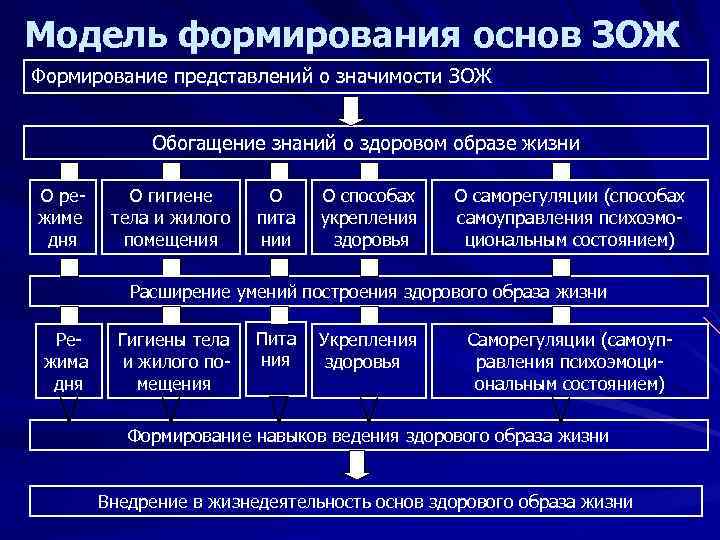 Модель формирования основ ЗОЖ Формирование представлений о значимости ЗОЖ Обогащение знаний о здоровом образе