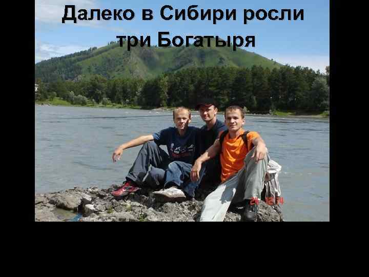 Далеко в Сибири росли три Богатыря 