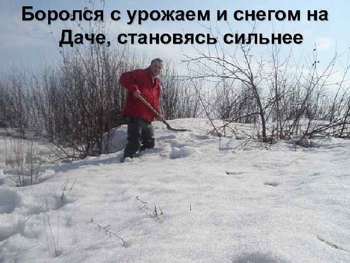 Боролся с урожаем и снегом на Даче, становясь сильнее 