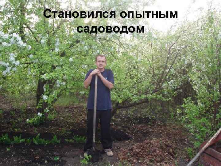 Становился опытным садоводом 