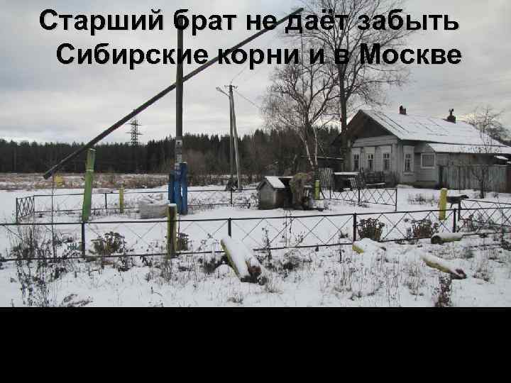 Старший брат не даёт забыть Сибирские корни и в Москве 