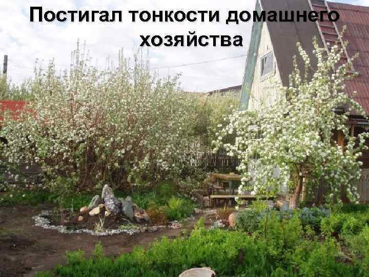 Постигал тонкости домашнего хозяйства 