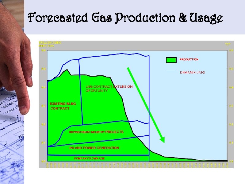 Forecasted Gas Production & Usage 