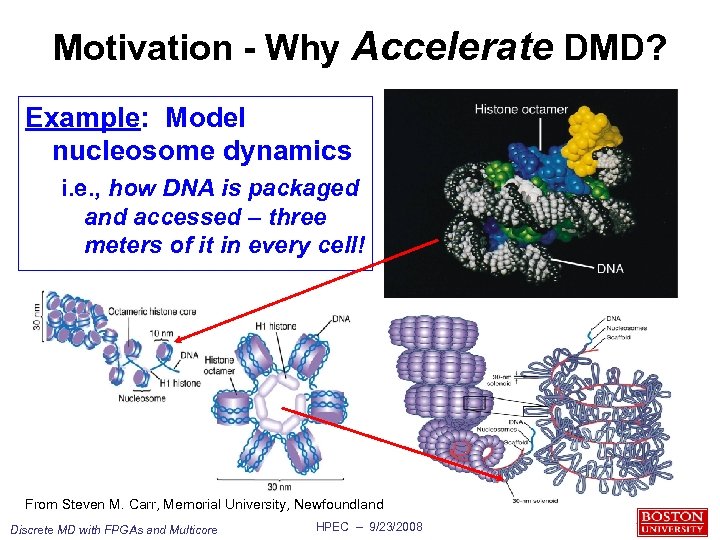 Motivation - Why Accelerate DMD? Example: Model nucleosome dynamics i. e. , how DNA