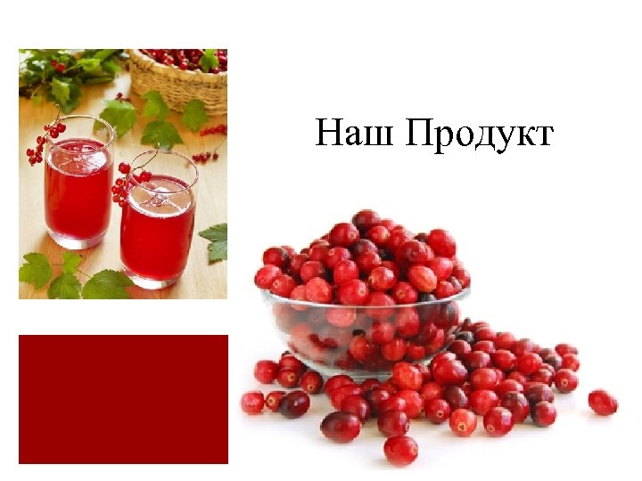 Наш Продукт 