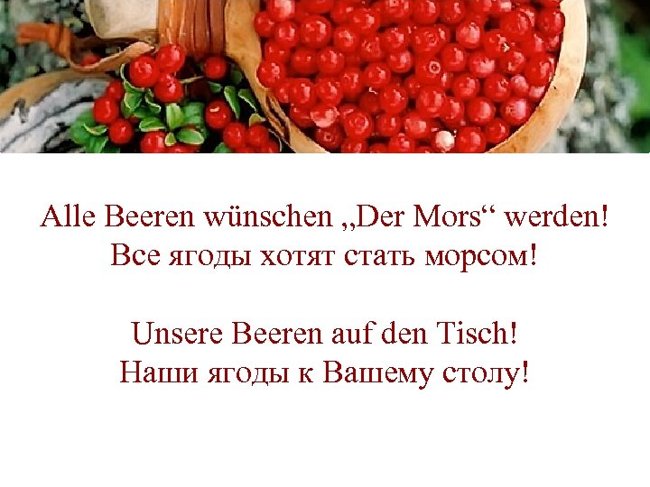 Alle Beeren wünschen „Der Mors“ werden! Все ягоды хотят стать морсом! Unsere Beeren auf