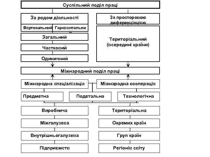 Суспільний поділ праці За просторовою диференціацією За родом діяльності Вертикальний Горизонтальни й Загальний Територіальний